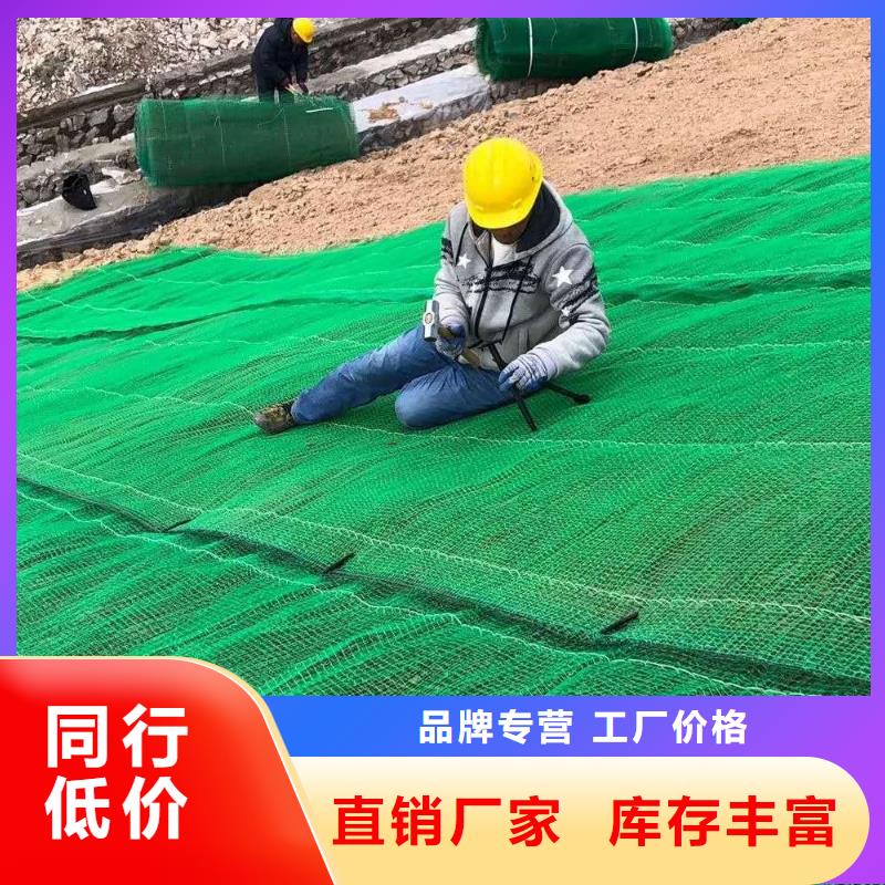 三维植被网双向塑料土工格栅实拍品质保障