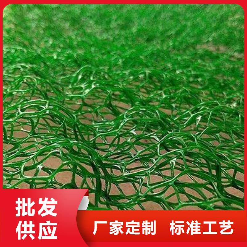 【三维植被网】双向塑料土工格栅适用范围广