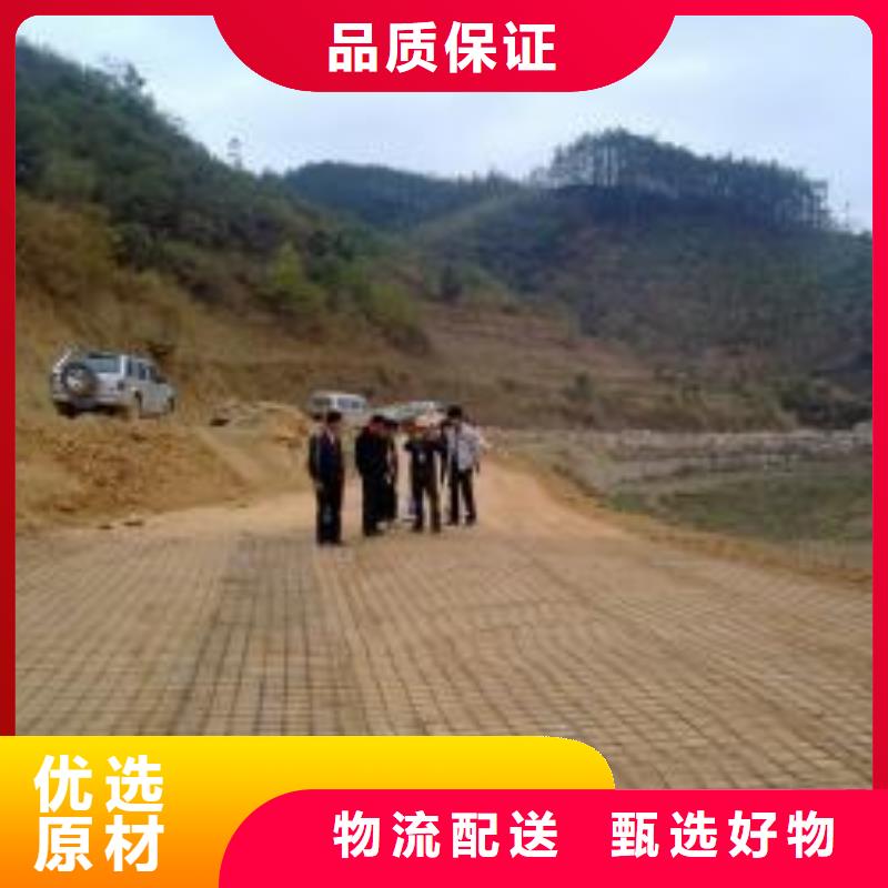 钢塑土工格栅_玻璃纤维土工格栅用心经营