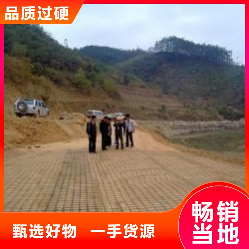 钢塑土工格栅_【玻璃纤维土工格栅】随心所欲定制