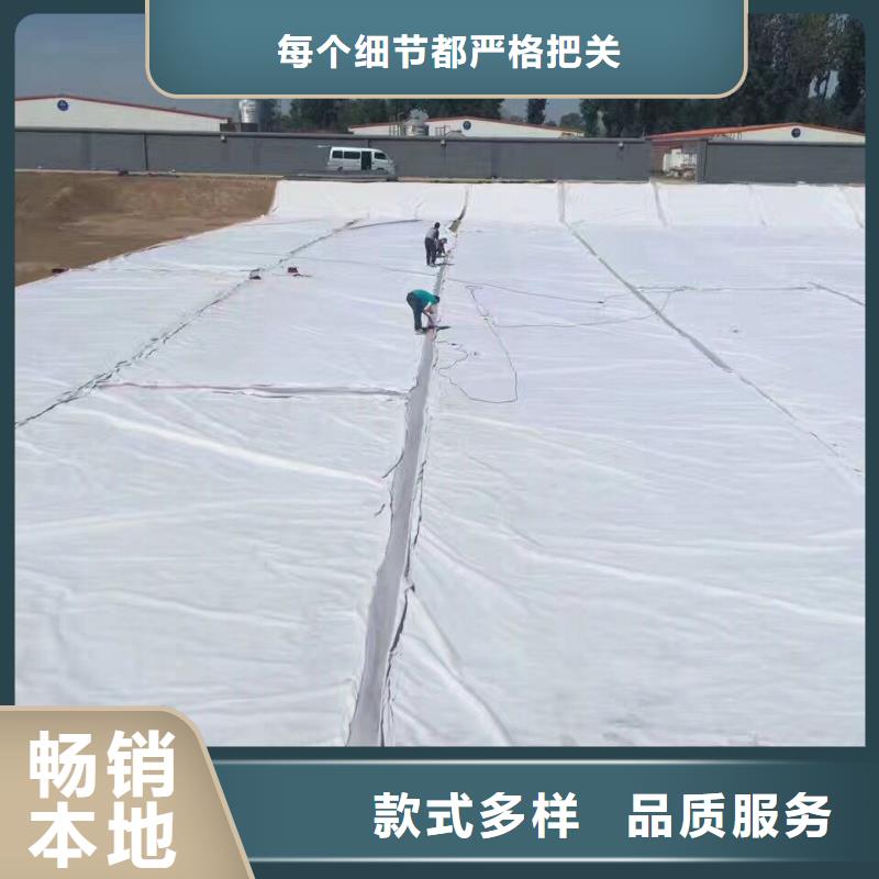 土工布涤纶土工格栅价格实惠工厂直供