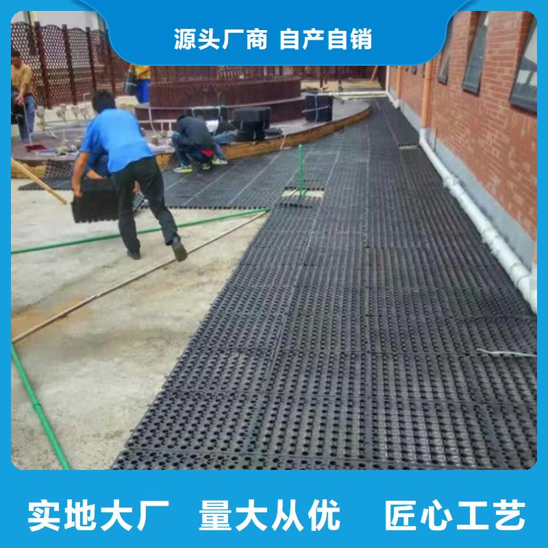 【塑料排水板涤纶土工格栅质优价廉】