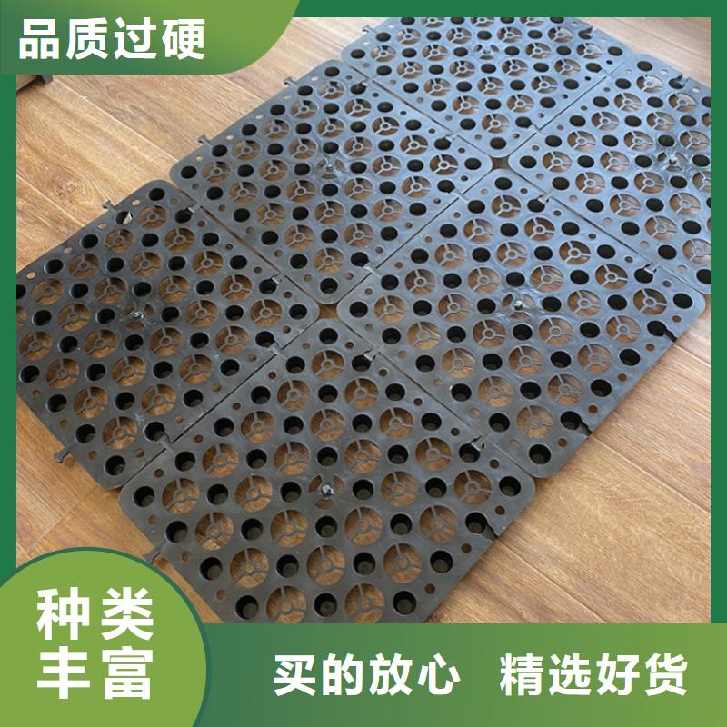 塑料排水板涤纶土工格栅使用方法