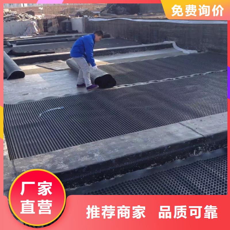 塑料排水板玻纤土工格栅现货交易