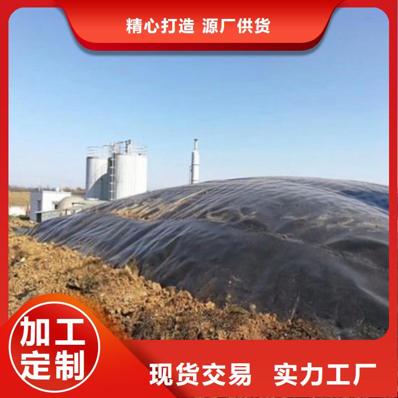 土工膜单向塑料土工格栅厂家案例