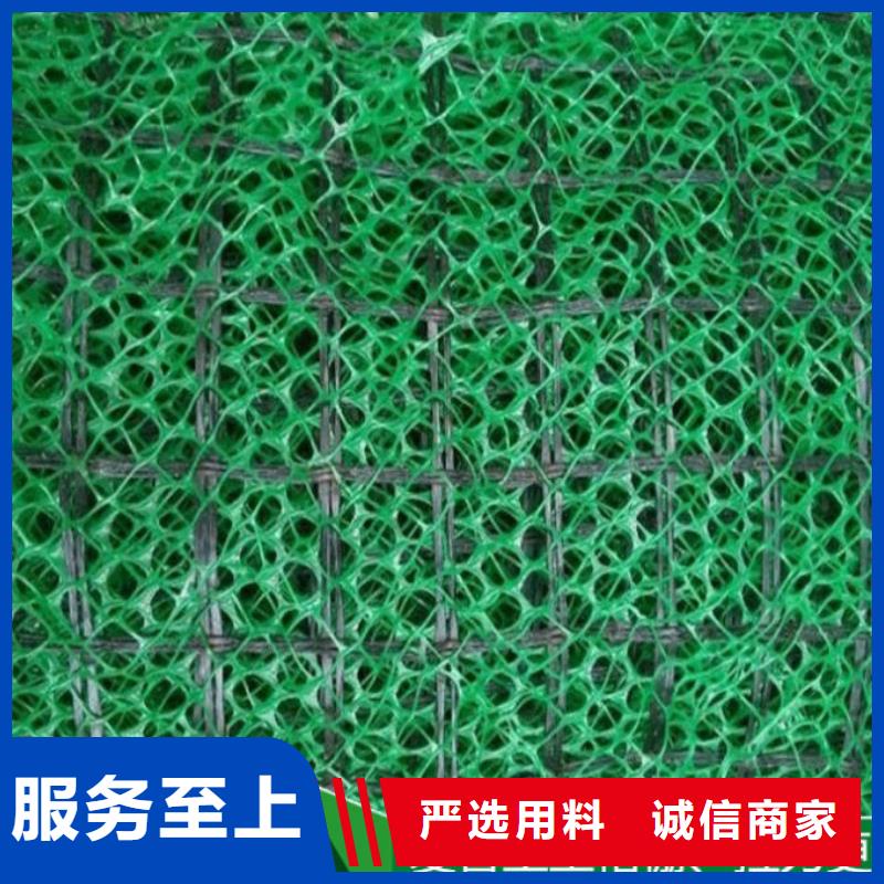 三维植被网单向塑料土工格栅现货实拍