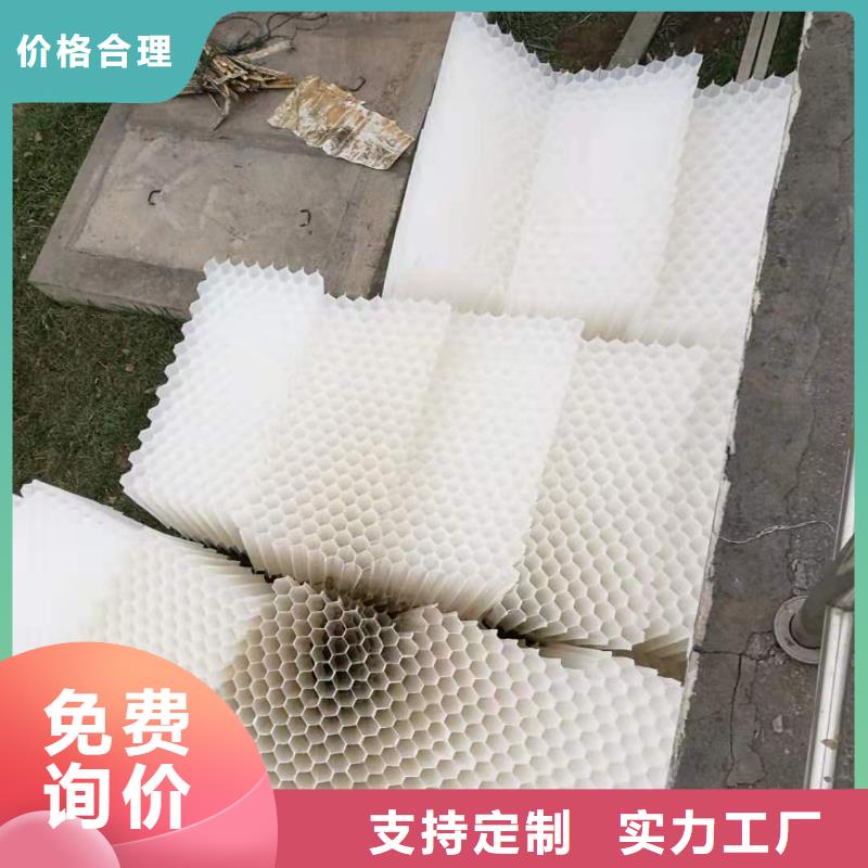 PP斜管填料批发