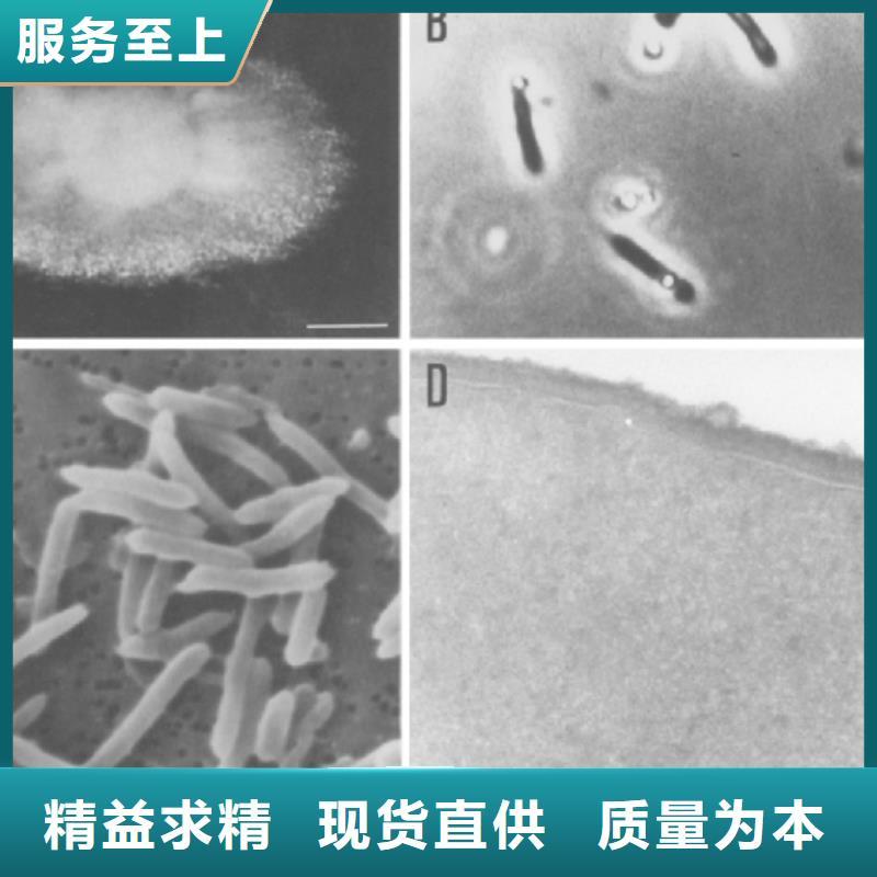 生物活性炭碳源实体厂家