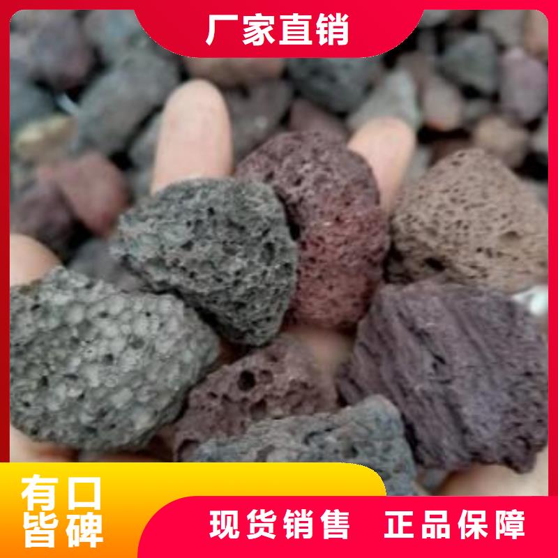 反硝化池用火山岩滤料推荐货源