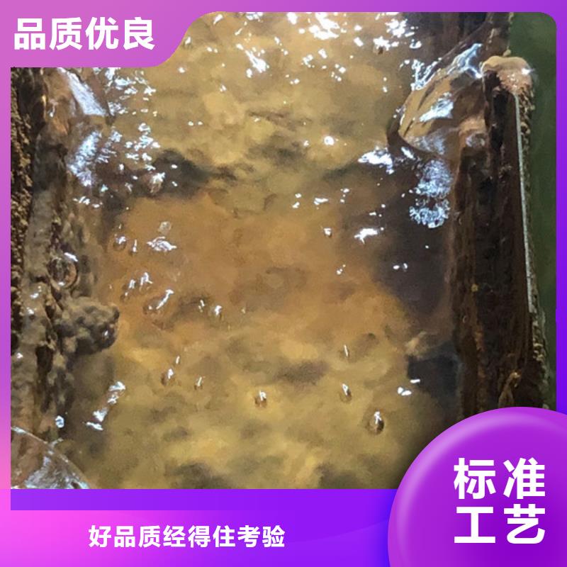 洗沙白药供应商