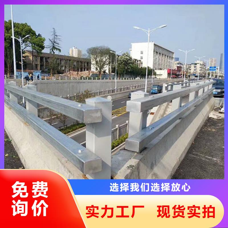 【河道护栏_公路护栏用心做好每一件产品】