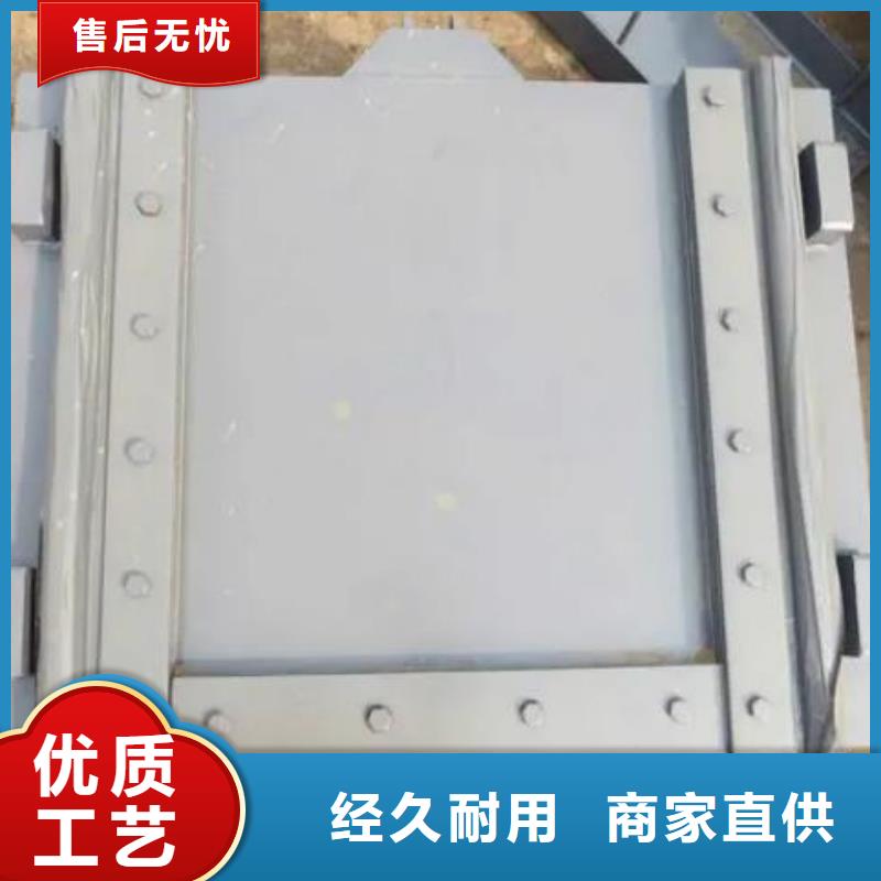 HDPE闸门300型号全