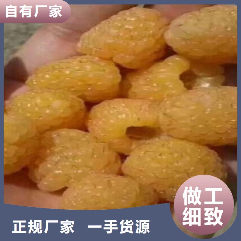 树莓,苹果苗多种规格库存充足