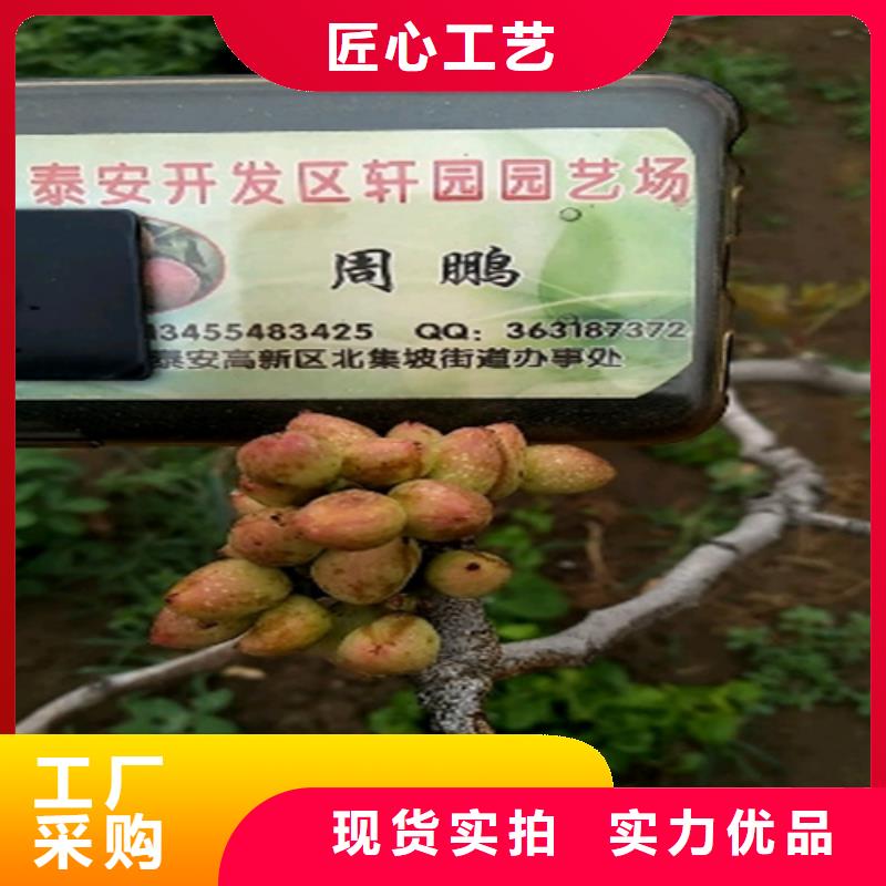 开心果奶油草莓工厂直营