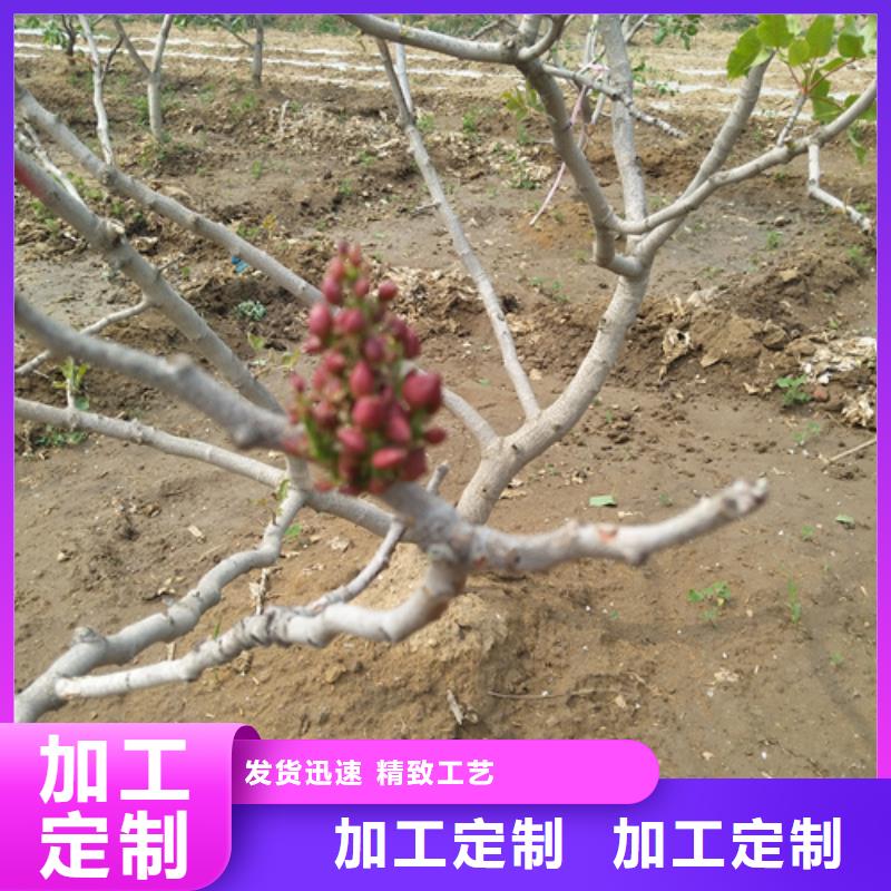 开心果奶油草莓工厂直营