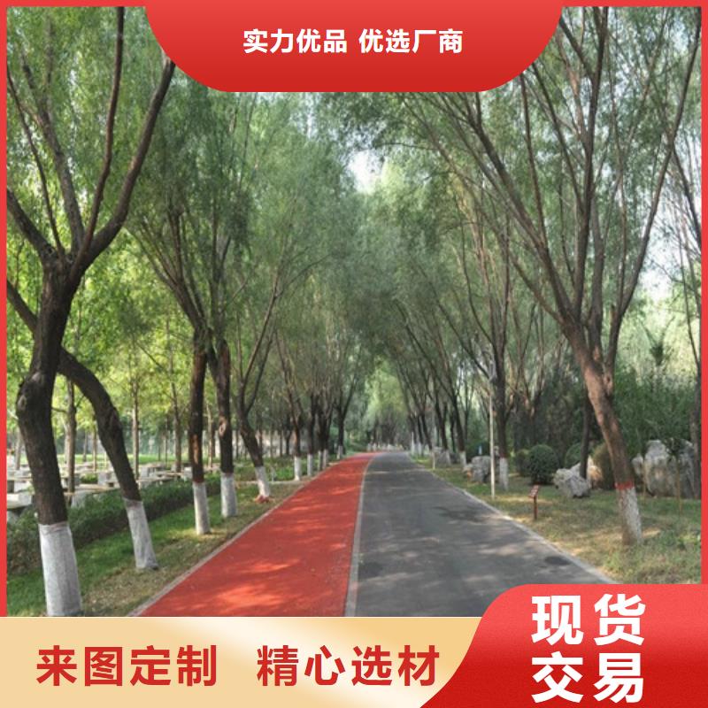 健身步道高密度跑道厂家直销