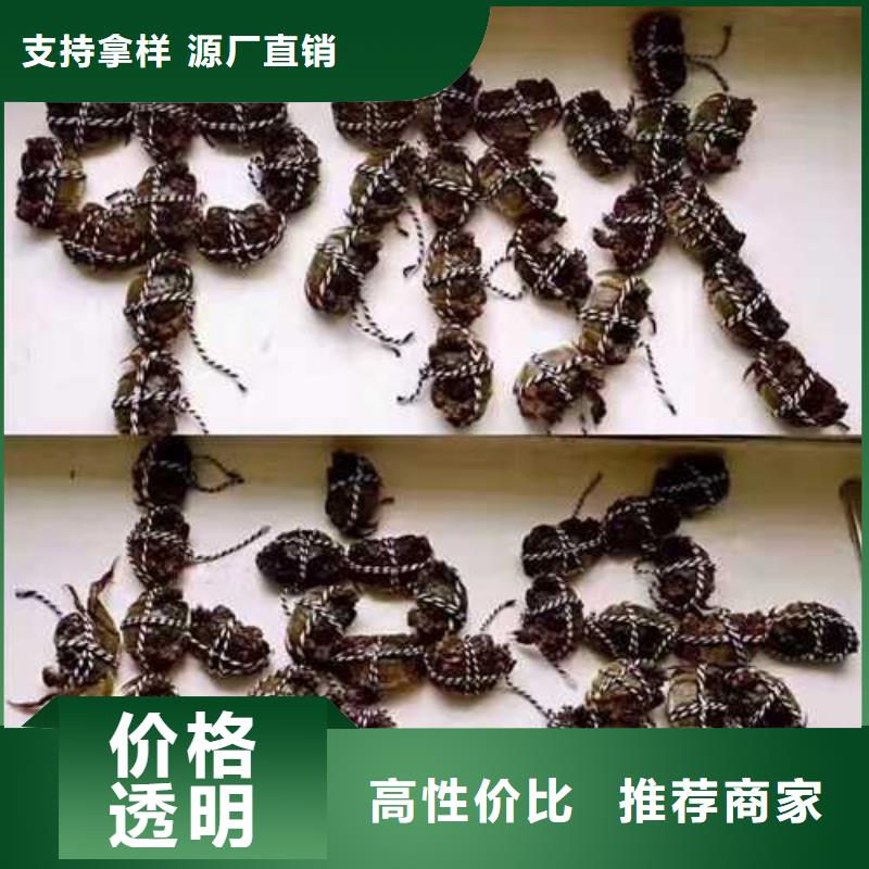 鲜活螃蟹价格表