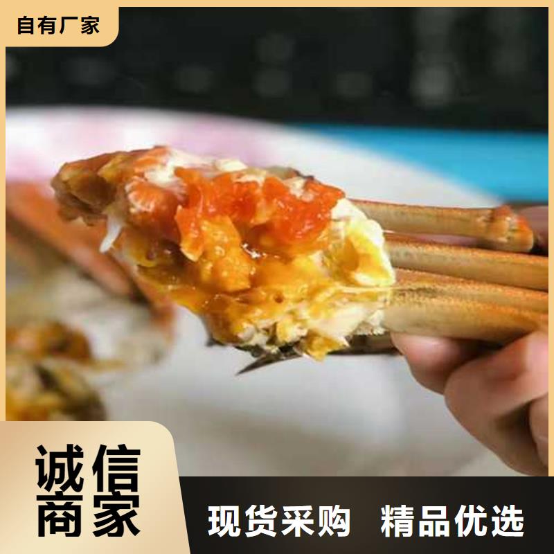 鲜活特大螃蟹批发商