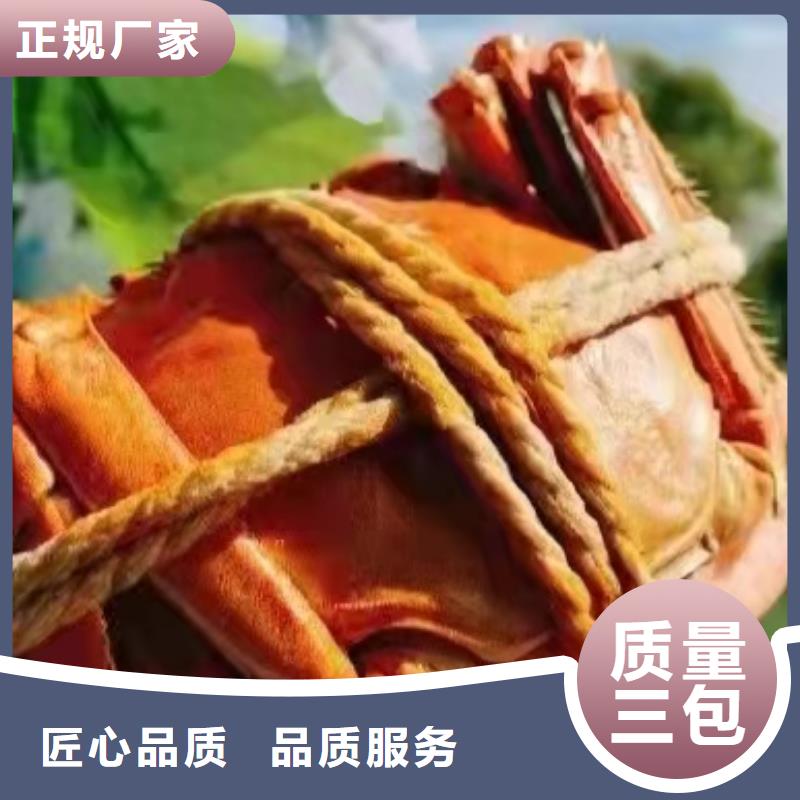 去阳澄湖吃蟹哪里好好吃在苏州阳澄湖