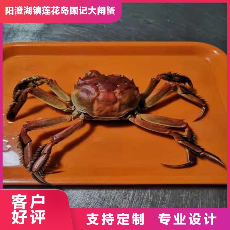 长期供应阳澄湖大闸蟹