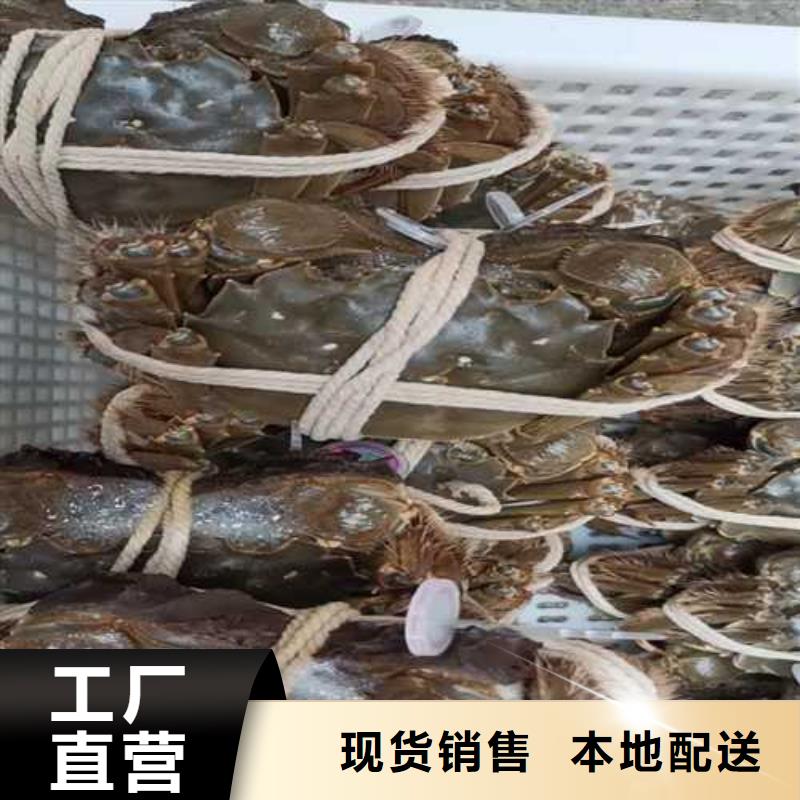 阳澄湖大螃蟹、阳澄湖大螃蟹厂家直销—薄利多销