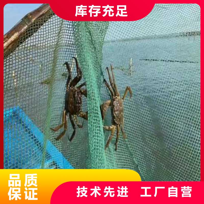 大闸蟹厂家规格齐全