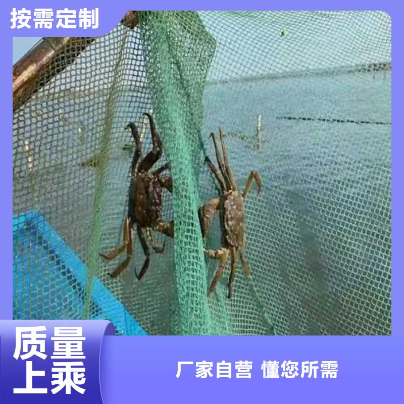 大闸蟹公司发货快