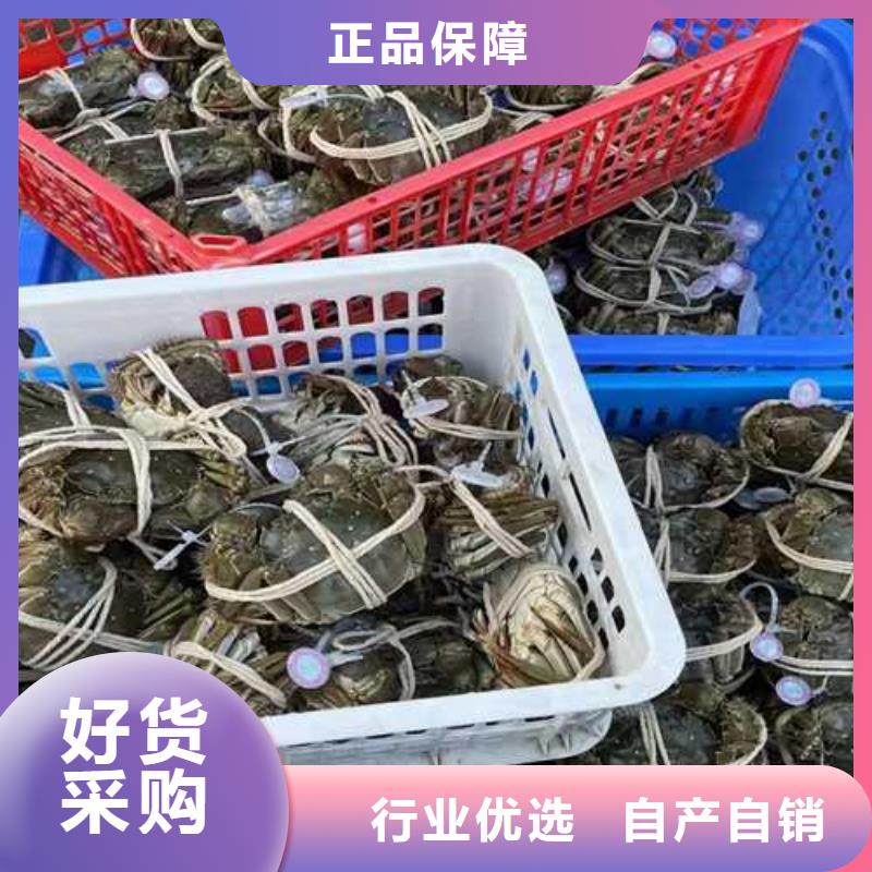 批发大闸蟹_品牌厂家