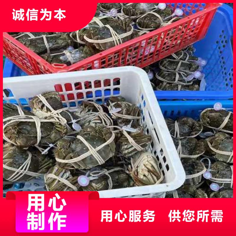 苏州阳澄湖大闸蟹哪家好