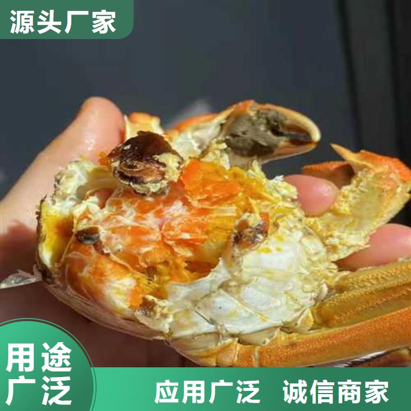 正宗阳澄湖大闸蟹鲜活特大