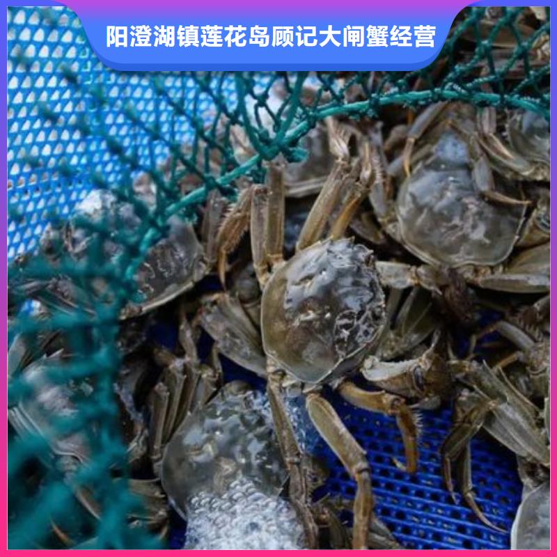 江苏阳澄湖大闸蟹哪里正宗