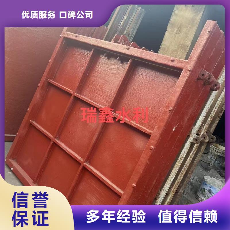 双向铸铁镶铜闸门