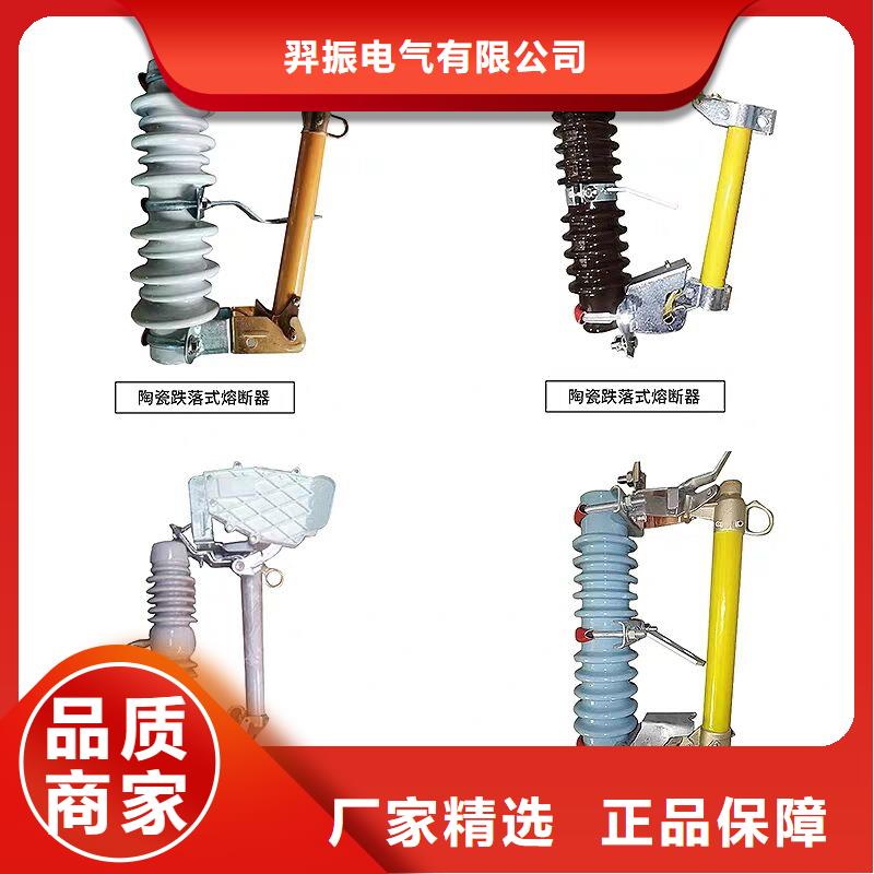 户外高压跌落式熔断器熔丝具RW12-10F/200A