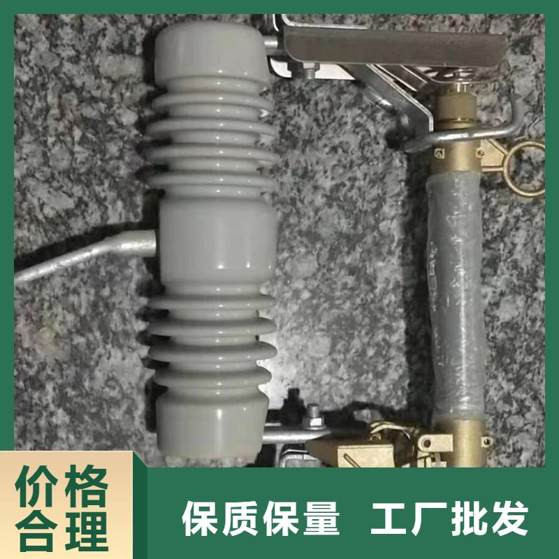 跌落式熔断器RW12-15/100A