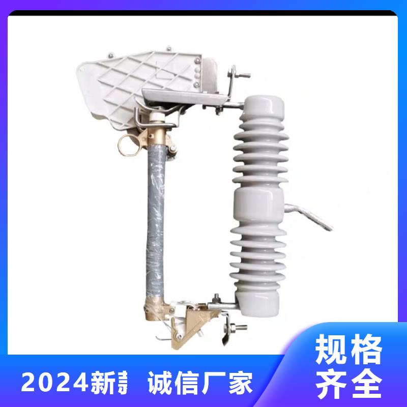 高压熔断器/RW11-12KV.HRW11-12KV【浙江羿振电气有限公司】