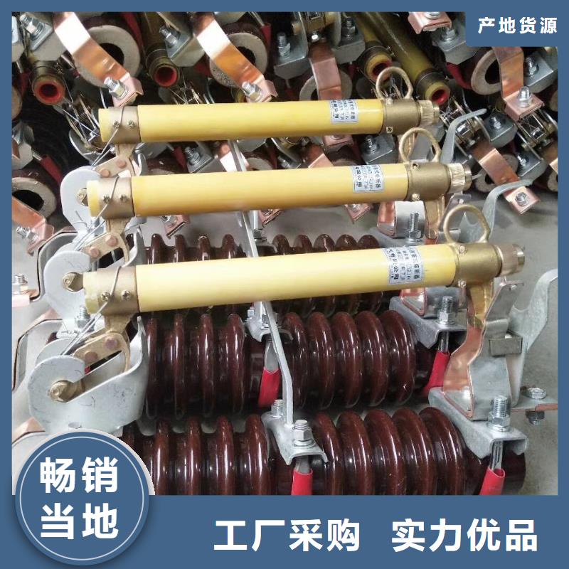 跌落式熔断器_RW12-15/200A