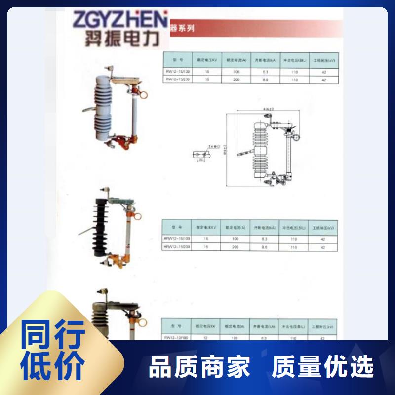 高压熔断器/HRW-10F/100A