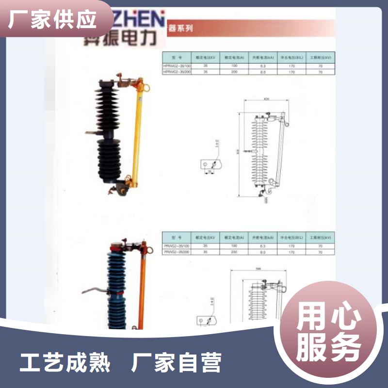 【跌落式熔断器】RW12-10/200浙江羿振电气有限公司