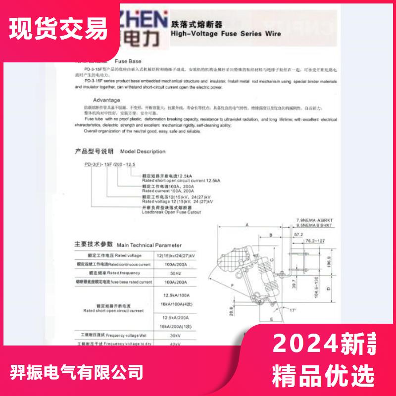 高压熔断器_RW12-15/100A