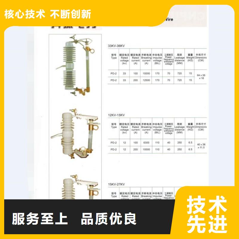 熔断器绝缘子发货迅速