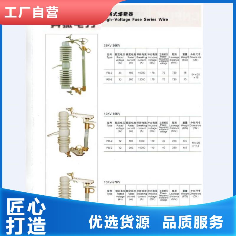 高压熔断器/RW-10/200A