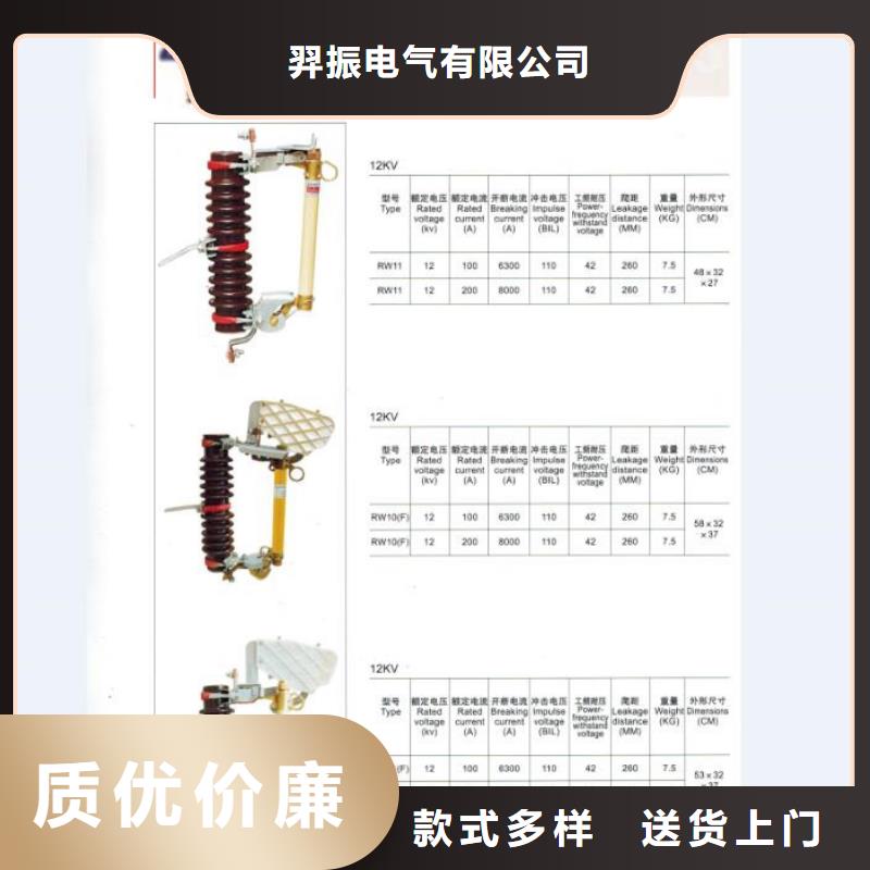 高压熔断器/HRW-10F/100A