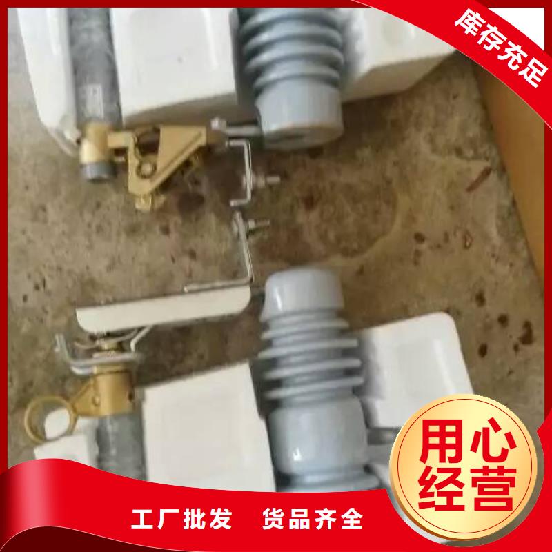 高压熔断器/FSC-15KV/100A