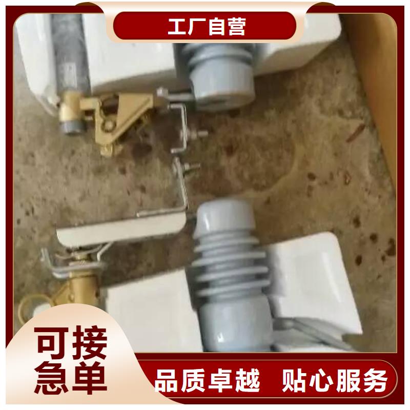 跌落式熔断器_RW12-15/200A