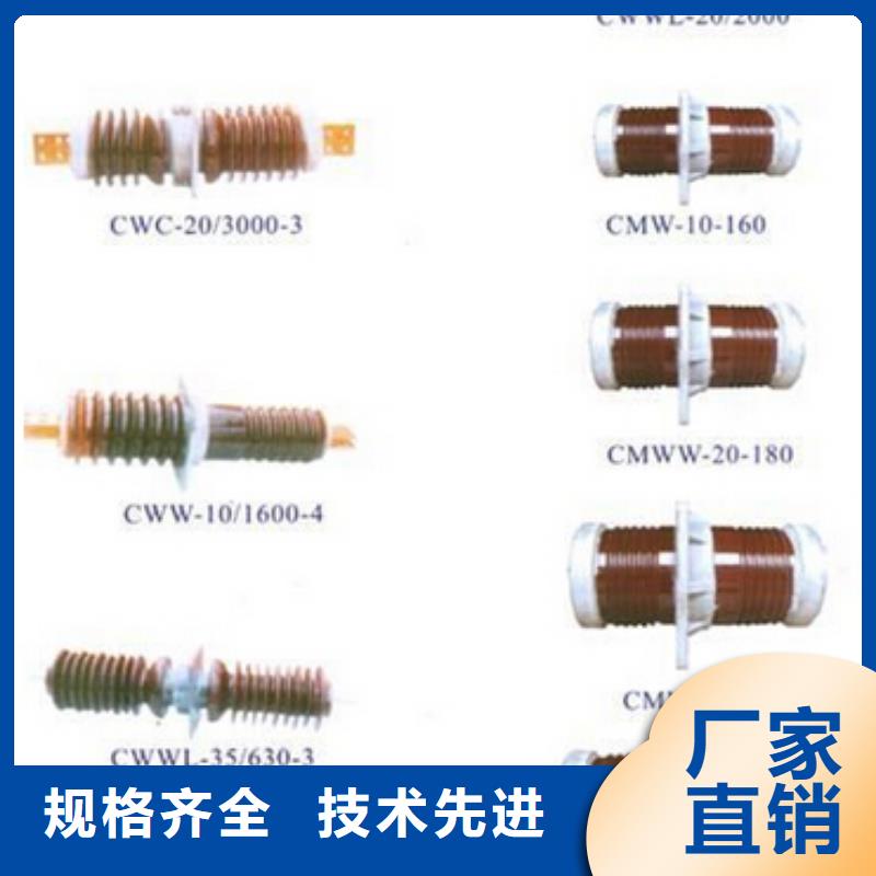 高压隔离开关CW2智能型式断路器严选好货