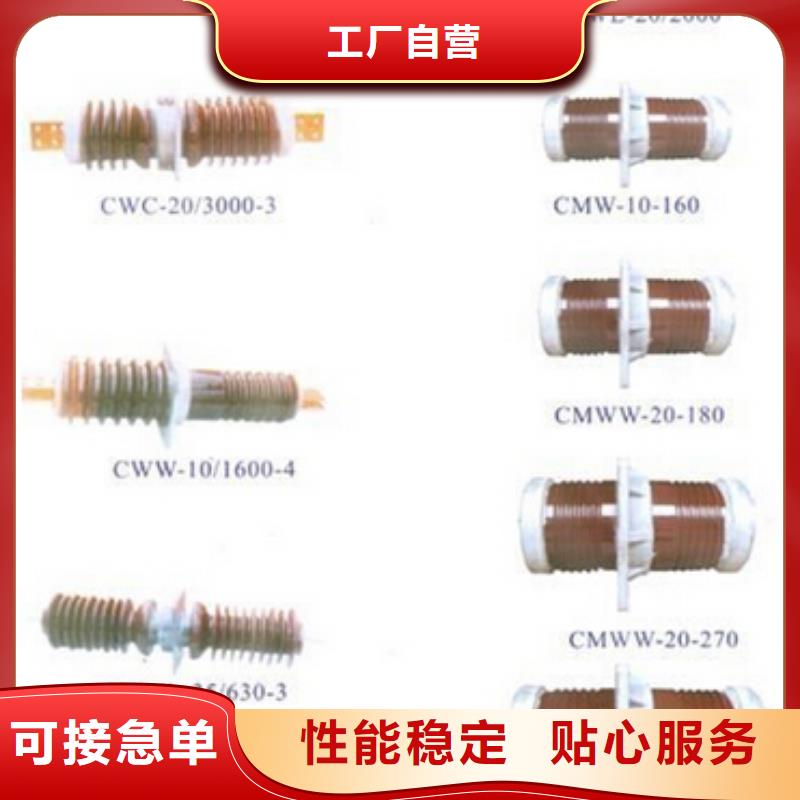 【高压隔离开关】[柱式绝缘子]专心专注专业