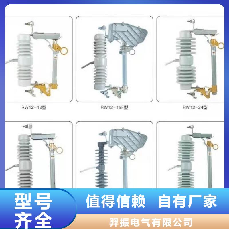 高压隔离开关支柱绝缘子厂家实力大