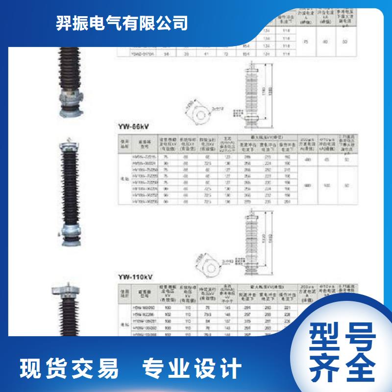 避雷器YH5CX5-102/266，放电计数器【羿振电气】