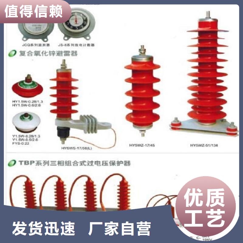 避雷器Y10W1-96/250【羿振电气】