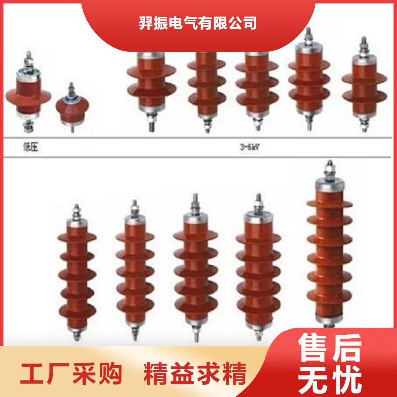 避雷器YH10CX5-90/235【羿振电力】